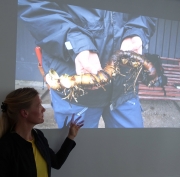 Tina Westerlund rhizonm föröka sköldbräcka foto Eva Rönnblom DSC07483