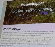 211006-tusendroppar